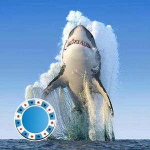 Meet your Posher, Rusty